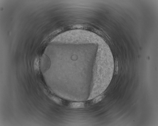 X0000081490126200702100039