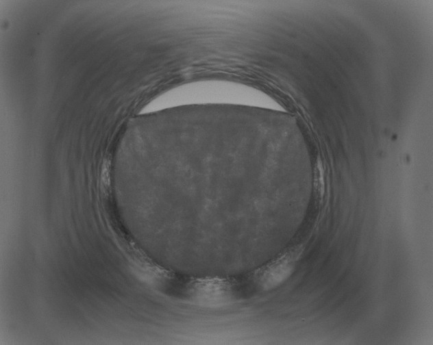 X0000081490127200702100039