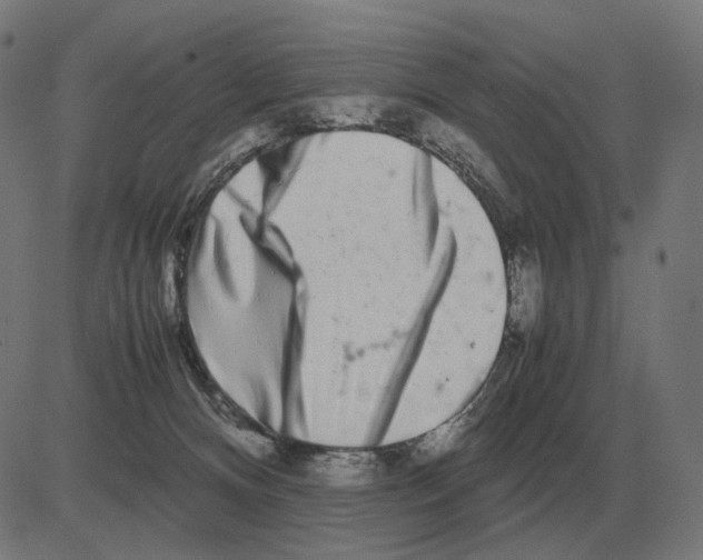 X0000081490128200702100039