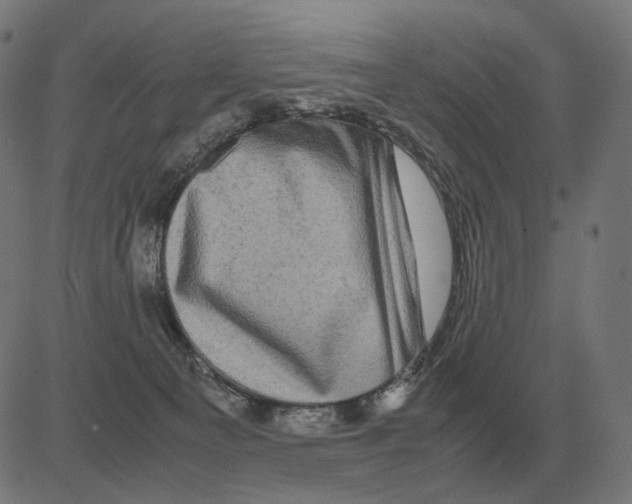 X0000081490129200702100039