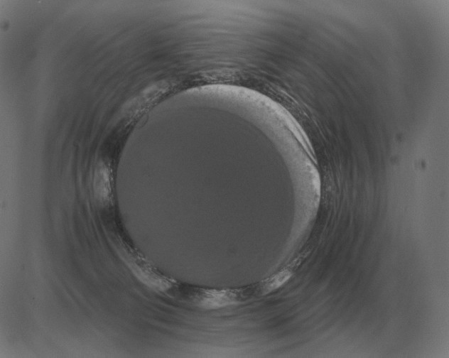 X0000081490130200702100039