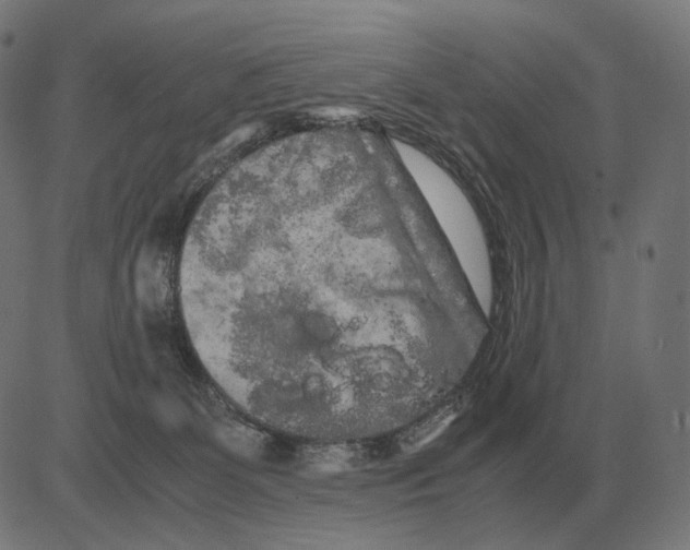 X0000081490131200702100039