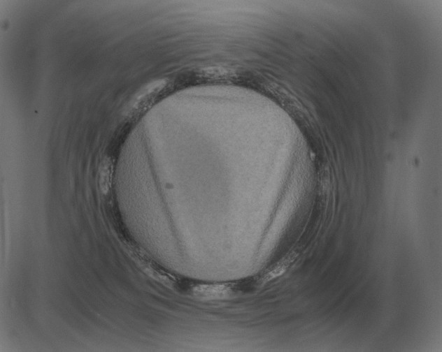 X0000081490133200702100039