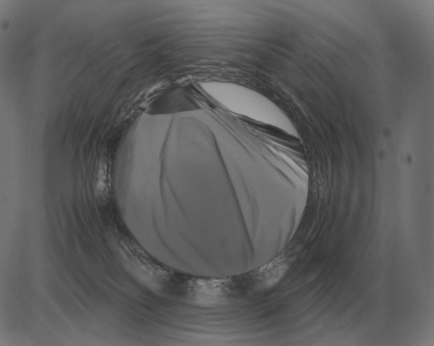 X0000081490134200702100039