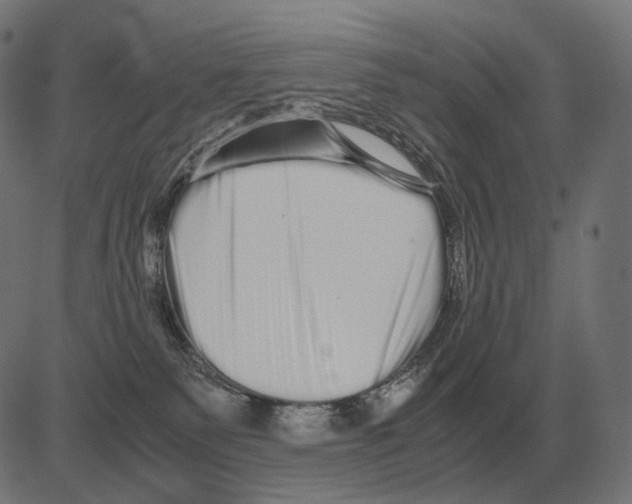 X0000081490135200702100039