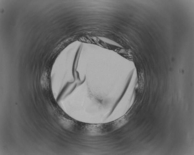 X0000081490136200702100039