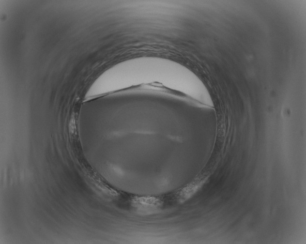 X0000081490137200702100039