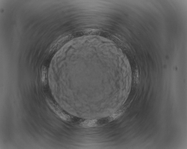 X0000081490138200702100039