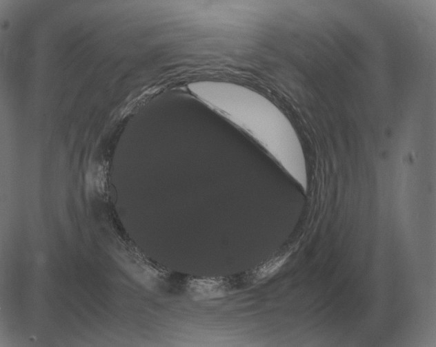 X0000081490139200702100039