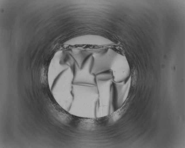 X0000081490140200702100039