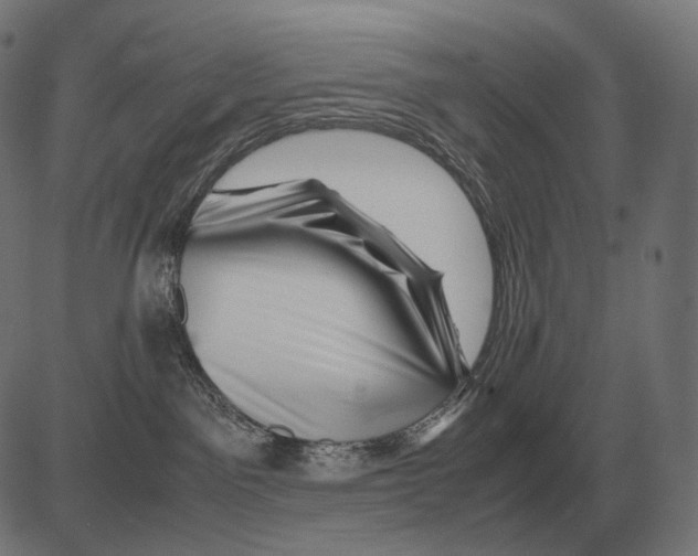 X0000081490141200702100039