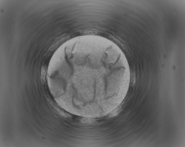 X0000081490142200702100039