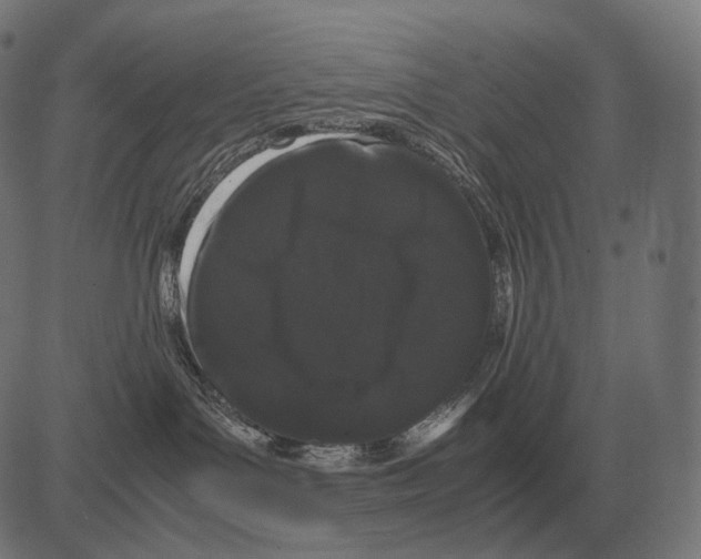 X0000081490143200702100039