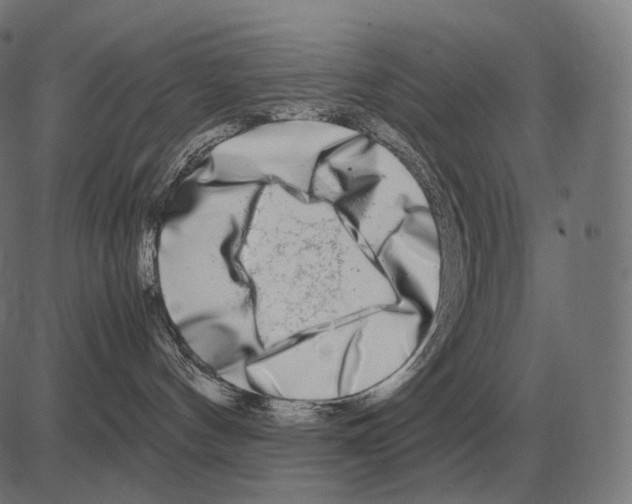 X0000081490144200702100039