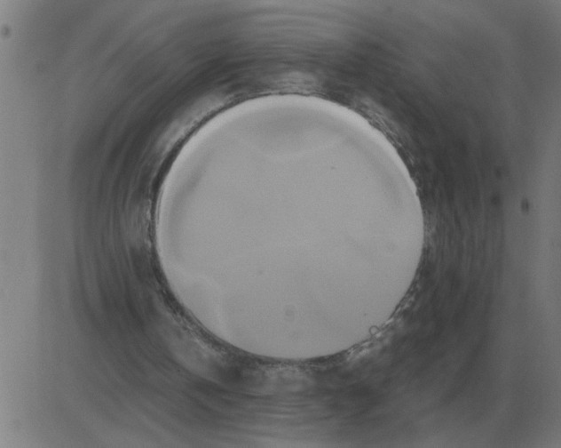 X0000081490146200702100038