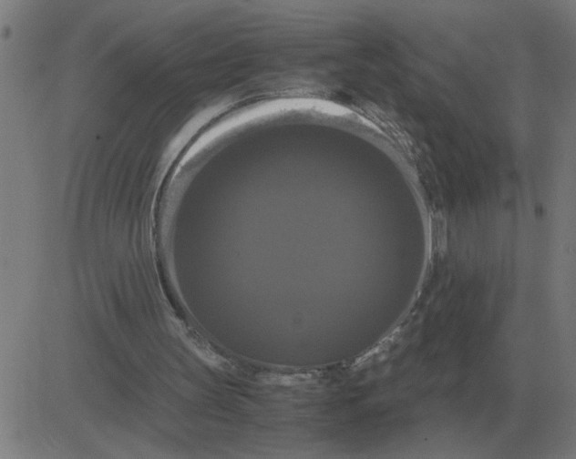 X0000081490147200702100038