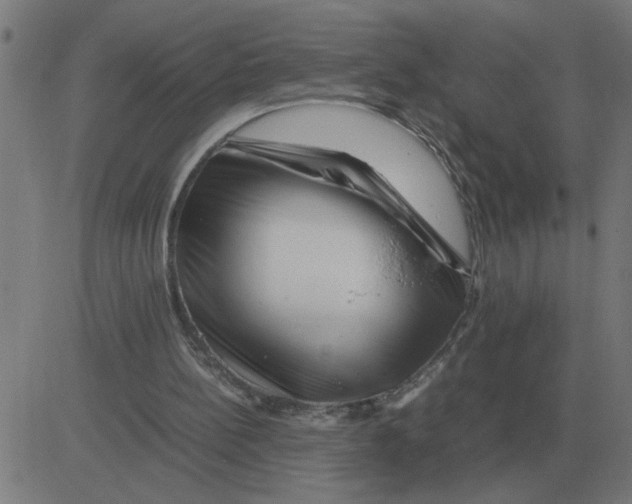 X0000081490148200702100038