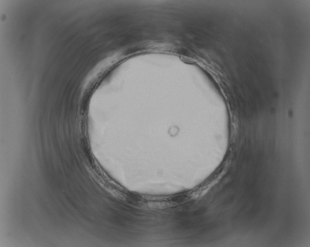 X0000081490149200702100038