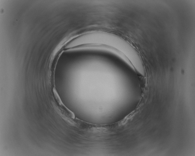 X0000081490150200702100038