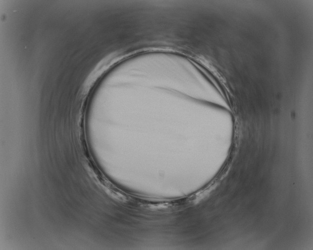 X0000081490151200702100039