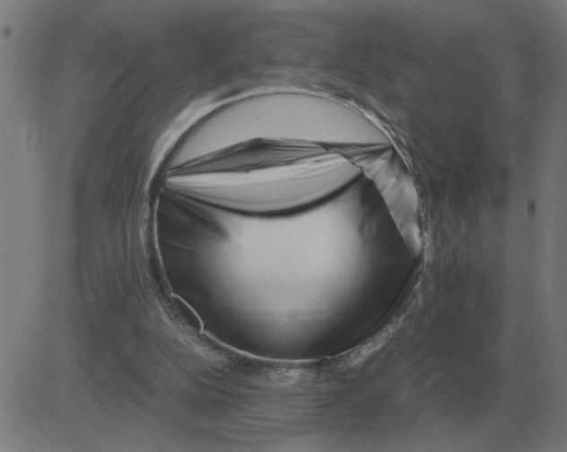 X0000081490152200702100039