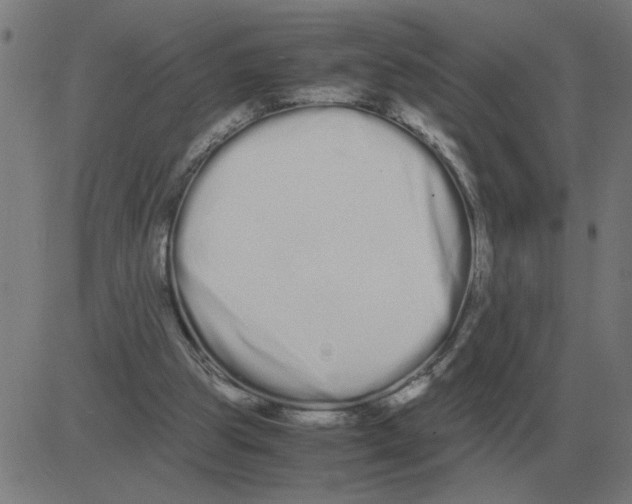 X0000081490153200702100039