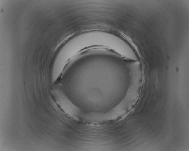 X0000081490154200702100039