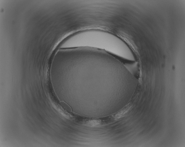 X0000081490156200702100039