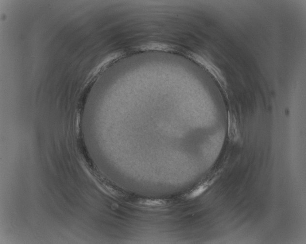 X0000081490157200702100039