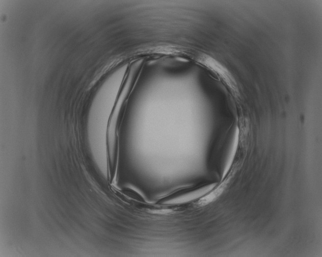 X0000081490158200702100039