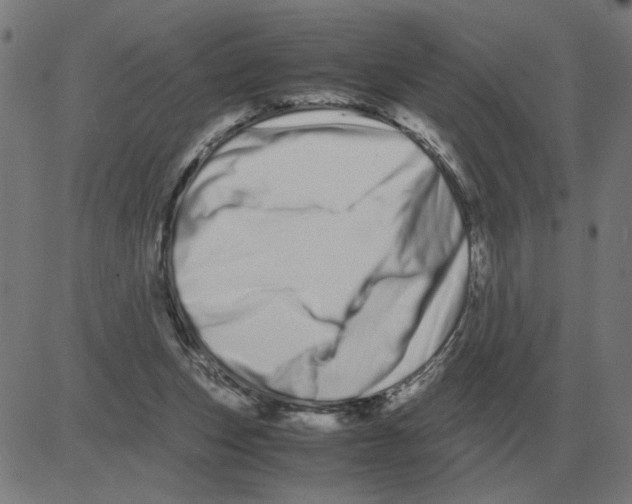 X0000081490159200702100039