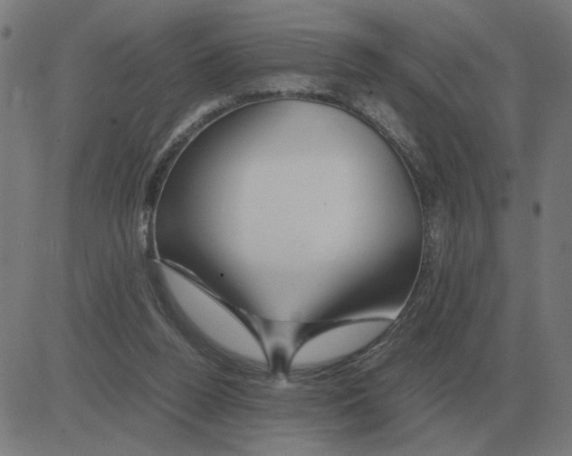 X0000081490160200702100039