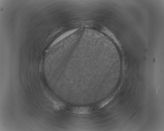 X0000081490161200702100039