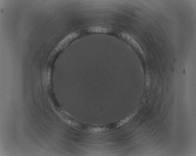 X0000081490163200702100039