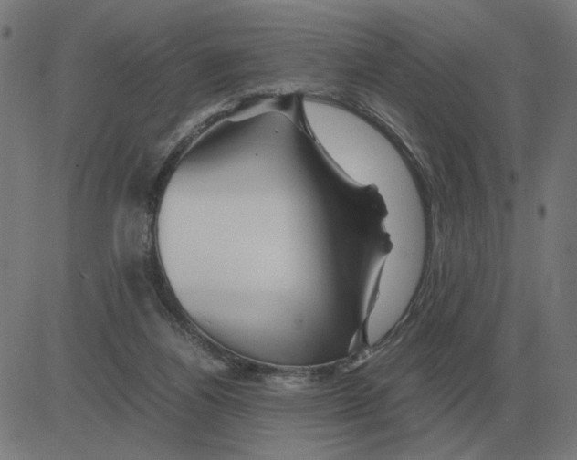 X0000081490164200702100039