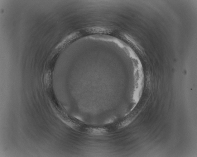 X0000081490165200702100039