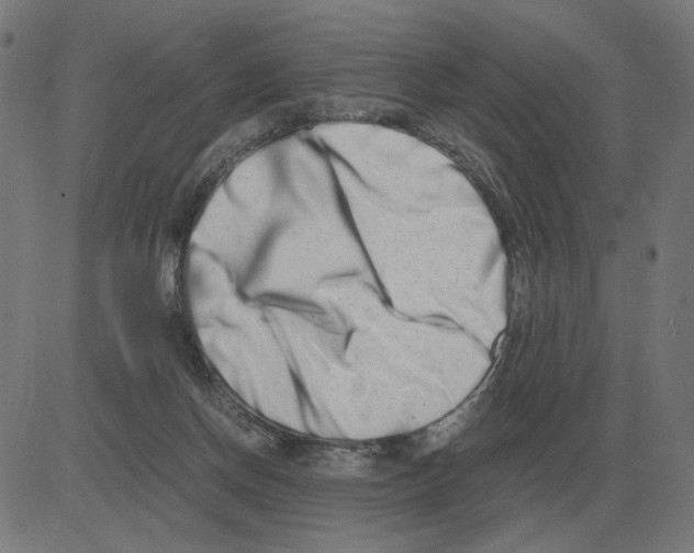 X0000081490166200702100039