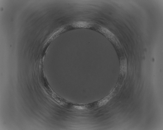 X0000081490167200702100039