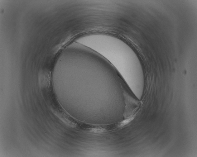 X0000081490168200702100039