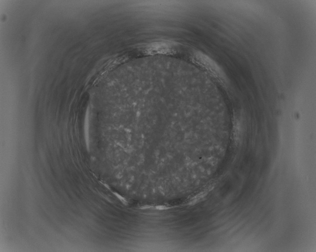 X0000081490169200702100039