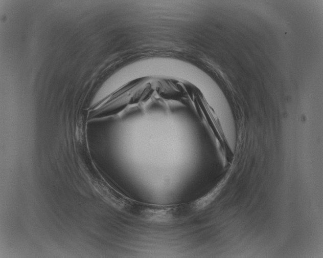 X0000081490170200702100039