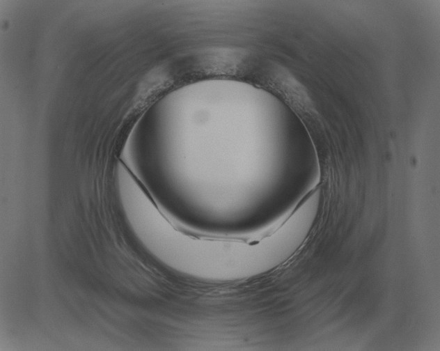 X0000081490172200702100039