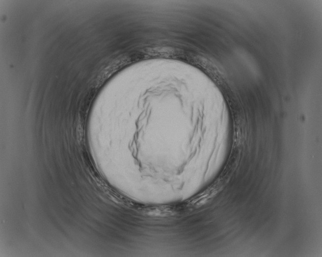 X0000081490173200702100039