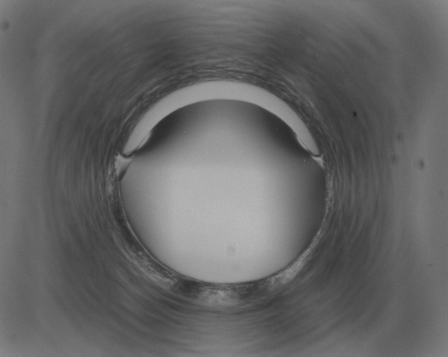 X0000081490174200702100039