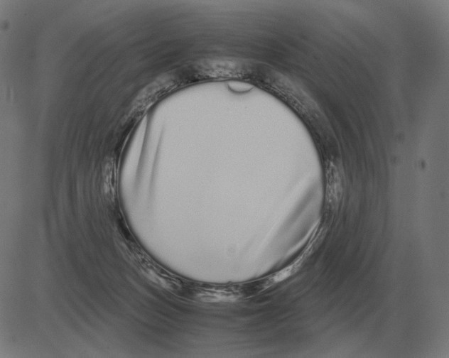 X0000081490175200702100039