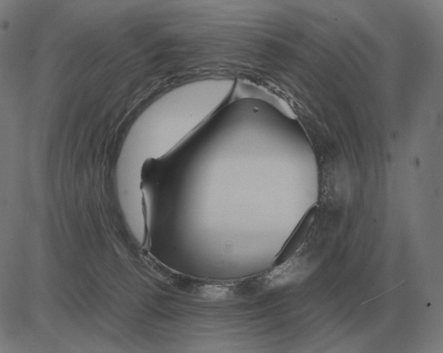 X0000081490176200702100039