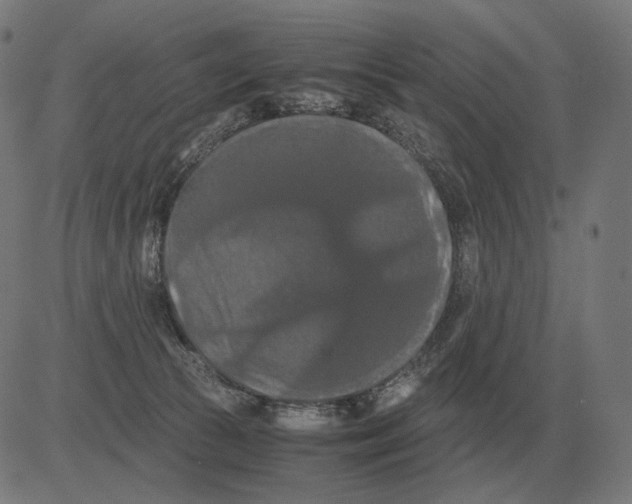 X0000081490177200702100039