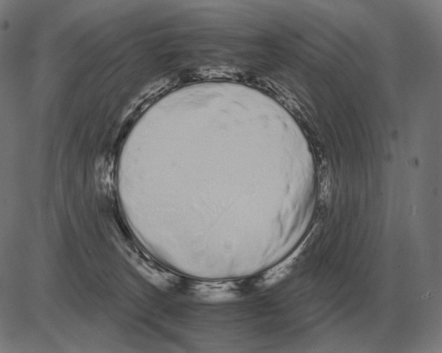 X0000081490179200702100039