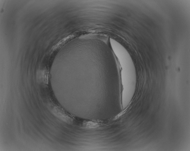 X0000081490180200702100039