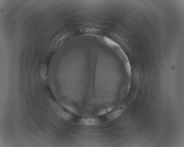 X0000081490181200702100039